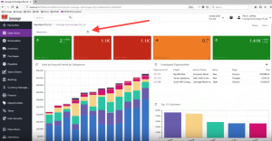 Dashboard by Sales Person with Parameters in MYOB Acumatica